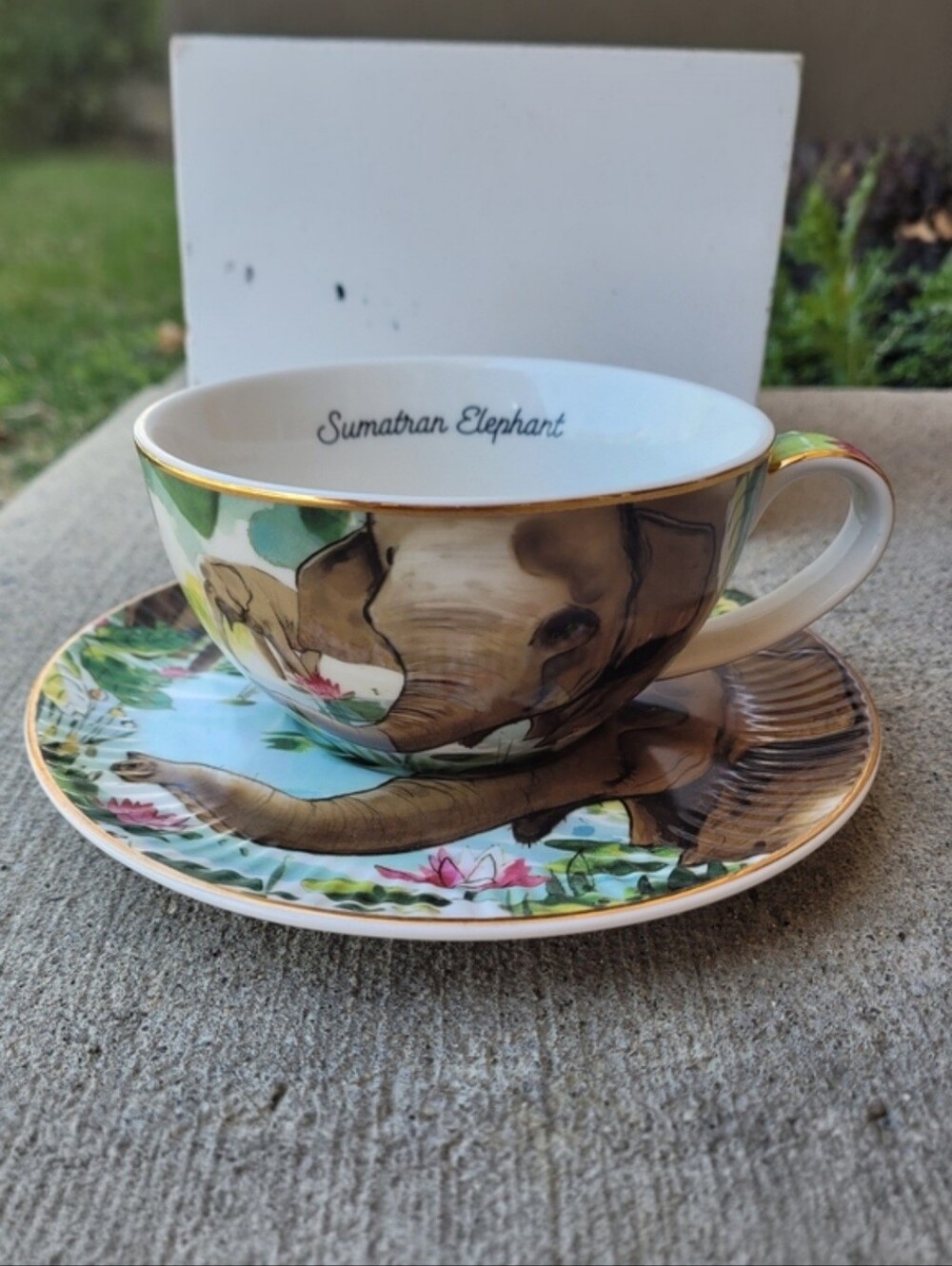 T2 Tea cup and saucer set NWOT
